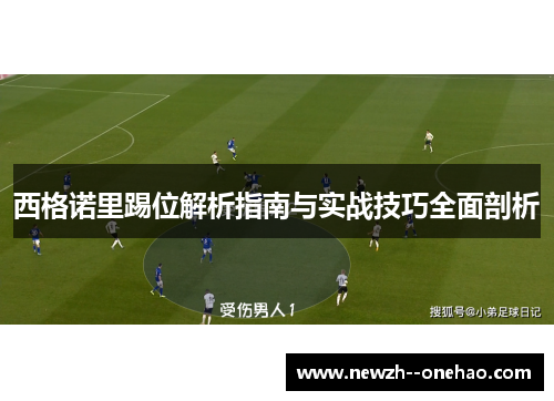 西格诺里踢位解析指南与实战技巧全面剖析