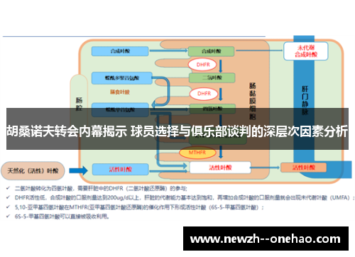 胡桑诺夫转会内幕揭示 球员选择与俱乐部谈判的深层次因素分析 胡桑诺夫转会内幕揭示 球员选择与俱乐部谈判的深层次因素分析