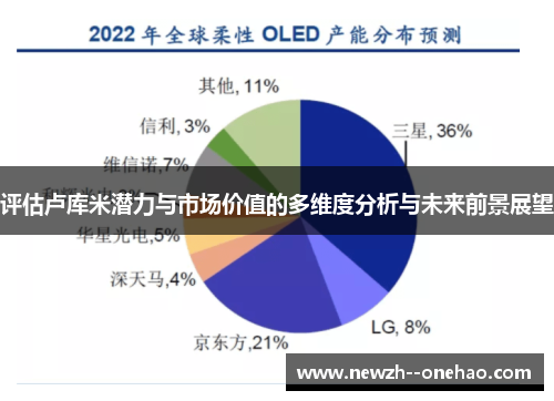 评估卢库米潜力与市场价值的多维度分析与未来前景展望