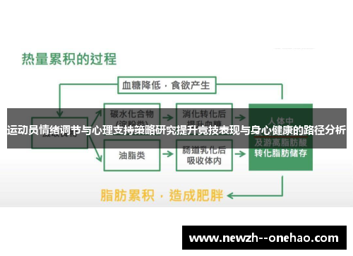 运动员情绪调节与心理支持策略研究提升竞技表现与身心健康的路径分析