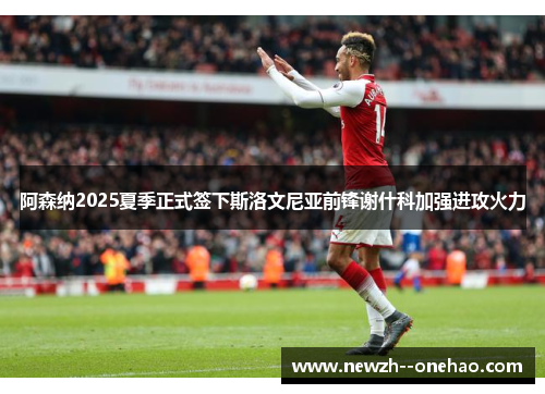 阿森纳2025夏季正式签下斯洛文尼亚前锋谢什科加强进攻火力 阿森纳2025夏季正式签下斯洛文尼亚前锋谢什科加强进攻火力
